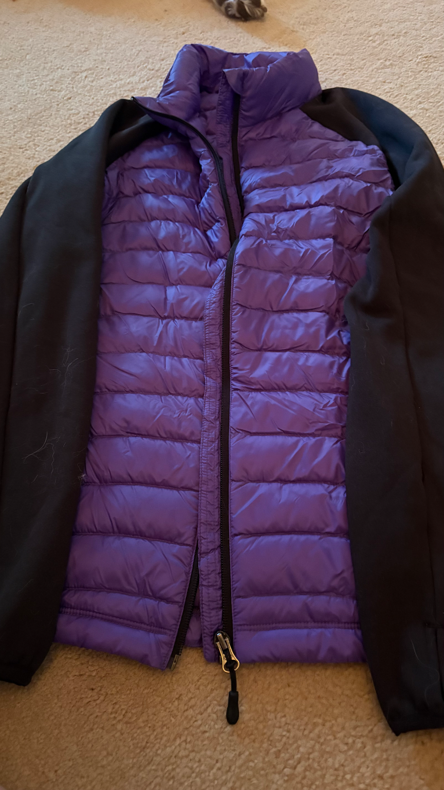 purple jacket – Ottawa OutGROW OutPLAY